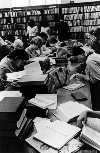 Students in a branch library
