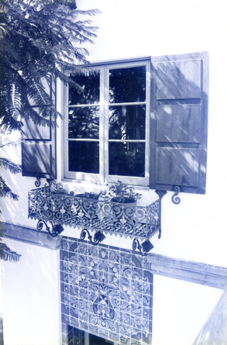 Hanging plants on a window of the Adamson House