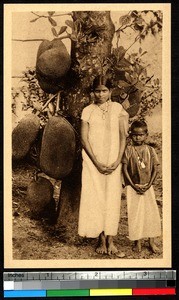 Children by a Jack Tree, Kollam, India, ca.1920-1940