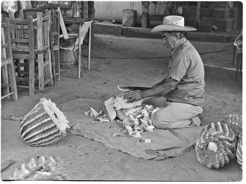 Man chopping cactus in San José de Comondú