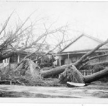 Windstorm of 1938