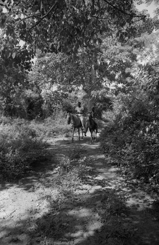 Boys riding mules, San Basilio de Palenque, 1976