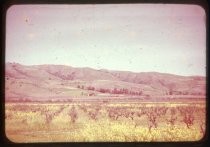"Evergreen Hills Spring 1950"