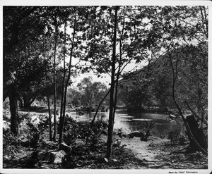 Streams, fish ponds, private gardens in 1948