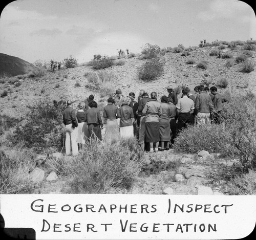 Geographers inspect desert vegetation / Lee Passmore