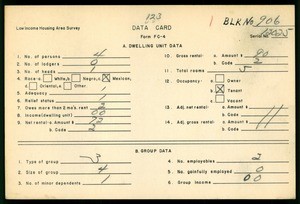 WPA Low income housing area survey data card 123, serial 12025