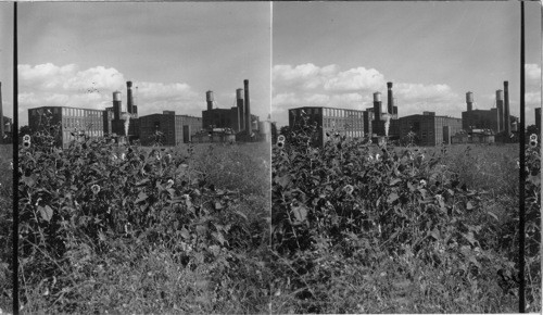 Woolen Mill (J.B. Willoughby?), Philadelphia, Penna