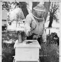 Tommie E. Coffee beekeeper