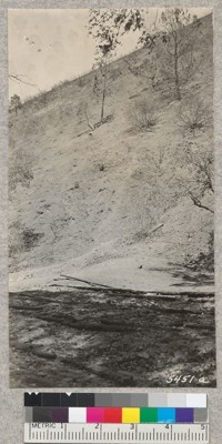 The second fire on Mt. Diablo in 1931 swept Mitchell Canyon on the north side completely bare of vegetation. This view taken from what was a Boy Scout Camp. Metcalf - 1931