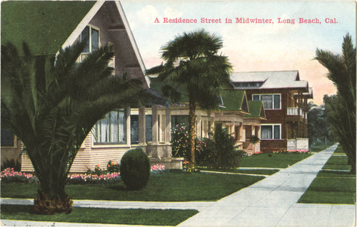 A Residence Street in Midwinter, Long Beach, Cal