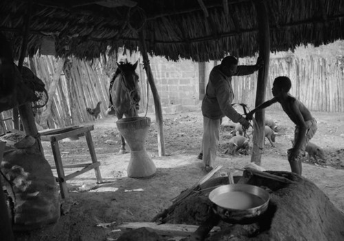 Man and boy under a palapa, San Basilio de Palenque, 1977