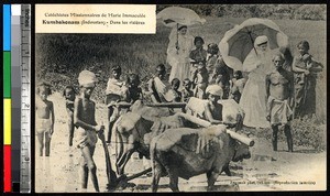People working in rice fields with missionaries, Kumbakonam, India, ca.1920-1940
