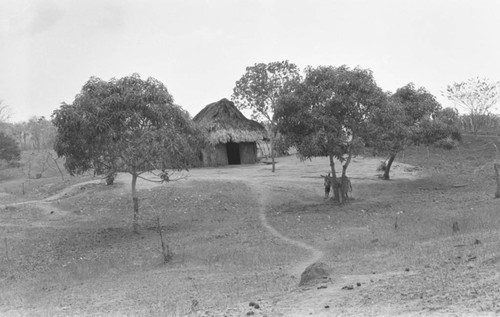 Panoramic view of a house, San Basilio de Palenque, Colombia, 1977