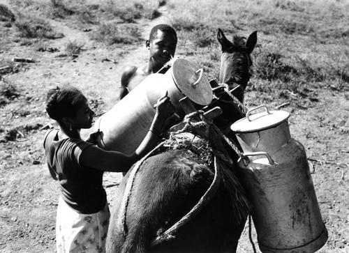 Man and woman loading a mule, San Basilio del Palenque, ca. 1978