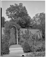 Dr. and Mrs. P. G. White residence, view of garden gate framed by arbor, Los Angeles, 1933-1938