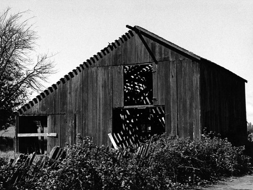 Barn, Penngrove, California