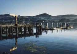 Dock at Bodega Bay, 1985