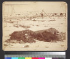 Remains of an Indian camp after a battle--possibly Wounded Knee