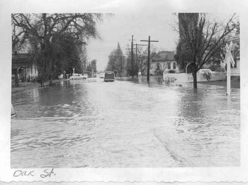 1955 Flood of Kaweah River, Visalia, Calif