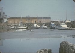 Boats at low tide in Petaluma, California, about 1968