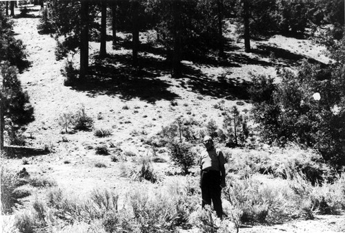 Man Standing at Site of Bear Trap