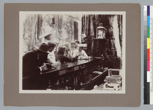 Men drinking at bar, Bohemian Grove. [photographic print]