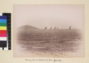 View of trading canoes at sea, Papua New Guinea, ca. 1890