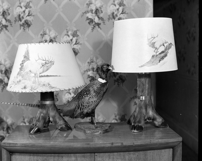 Two deer hoof lamps and stuffed pheasant on table