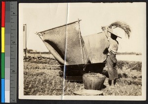 Man threshing grain, China, ca.1930-1940