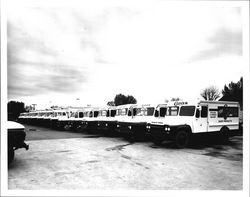 Clover Dairy delivery trucks, Petaluma, California, 1963