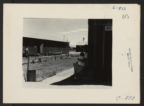 Manzanar, Calif.--Lawns and flowers have been planted by some of the evacuees at their barrack homes at this War Relocation Authority center. Photographer: Lange, Dorothea Manzanar, California