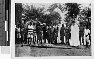 Group of people standing behind a dead snake, Uganda, Africa, 1938