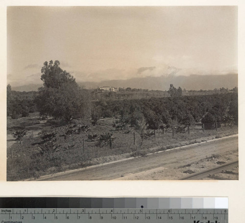 View of Huntington residence from Huntington Drive, circa 1911