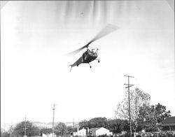 Tomasini-sponsored Santa in a helicopter flying over McNear Park, Petaluma, California in 1948