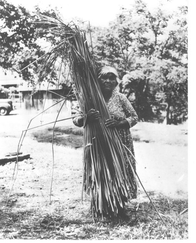 Tachi Woman with bundle of tules