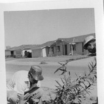 Planting an Oleander Bush