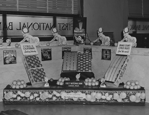 Display from the California Citrus Industry set up in the First National Bank