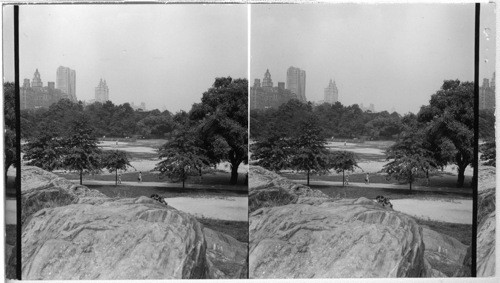 Central Park. N.Y.C. Use for #38. Sampson