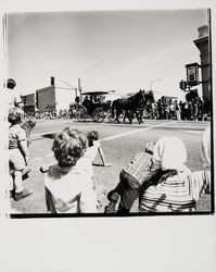 Horse drawn carriage in Apple Blossom Parade, Sebastopol, California, 1978