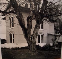 Two-story Renaissance Revival brick house at 6851 Fannen Avenue in Sebastopol built in 1905