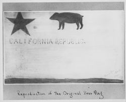 Reproduction of the original Bear Flag
