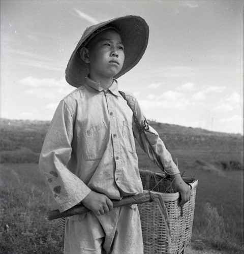 Portrait of a boy in the field holding a sickle