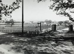 Entrance to Dei Dairy Ranch located at 831 High School Road, Sebastopol, California, about 1963