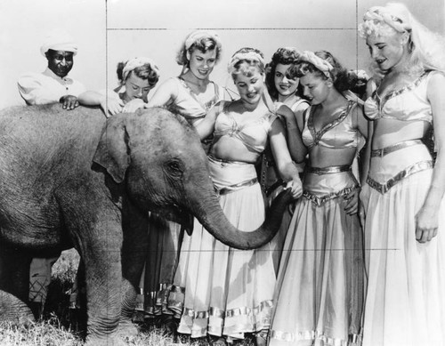 Women and baby elephant
