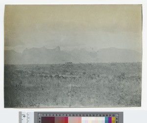 Namuli mountains, Mozambique, ca.1904