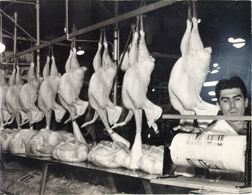 [Poultry department at the Crystal Palace Market]