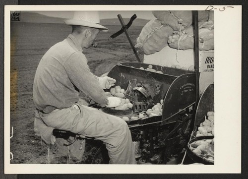 K. Fukushima, 38, farmer-evacuee from Clarksburg, California, adjusts the flow of seed potatoes on a feeding rotary potato planter . Five hundred acres of potatoes are being planted on this relocation center. Photographer: Stewart, Francis Newell, California