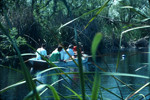Students rowing on lake
