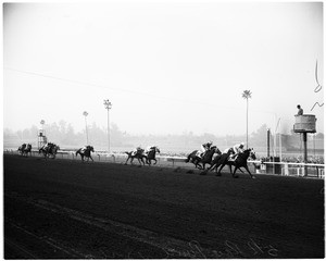Horses--race--Santa Anita--opening day, 1957