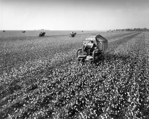 Cotton picking machines
